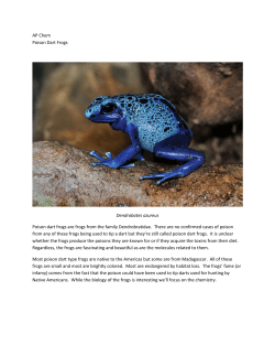 AP Chem Poison Dart Frogs Dendrobates azureus Poison dart frogs