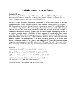 Molecular symmetry in enzyme function