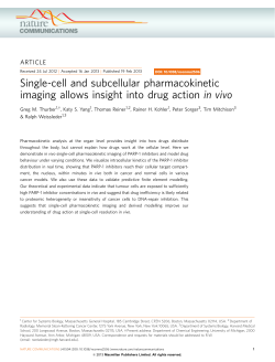 Single-cell and subcellular pharmacokinetic imaging allows insight
