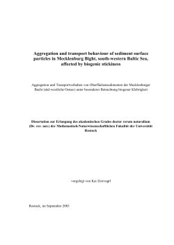 Aggregation and transport behaviour of sediment surface particles in