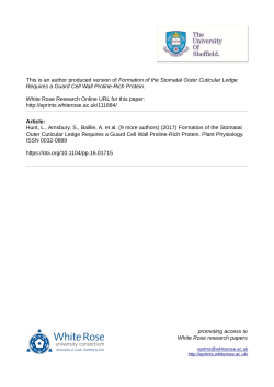 Formation of the Stomatal Outer Cuticular Ledge Requires a Guard