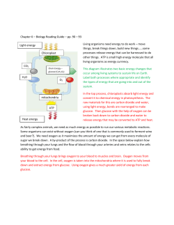 Chapter 6 * Biology Reading Guide * pp