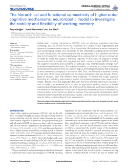 The hierarchical and functional connectivity of higher