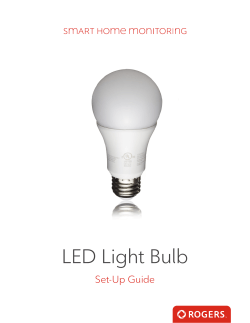 LED Light Bulb