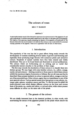 The colours of roses