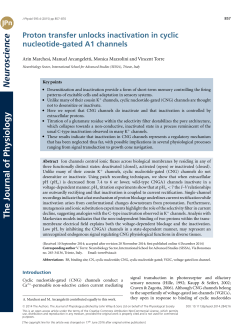 Proton transfer unlocks inactivation in cyclic