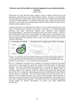 Structure and self-assembly of antennae pigments in green