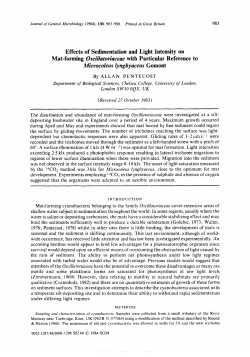 Effects of Sedimentation and Light Intensity on Mat