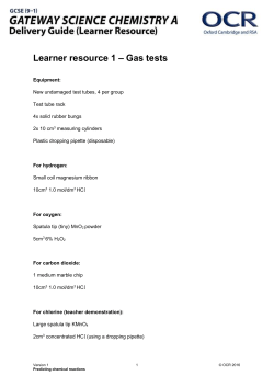 Learner resource 1