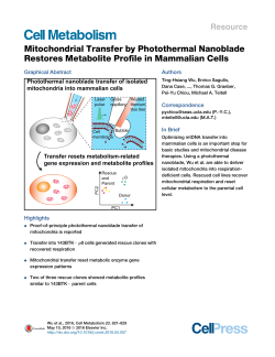 Mitochondrial Transfer by Photothermal Nanoblade