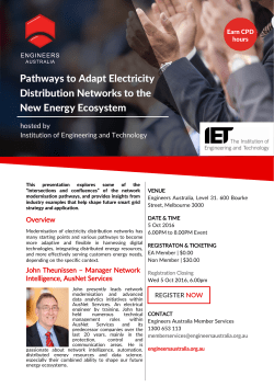 Pathways to Adapt Electricity Distribution Networks to the New