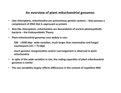mitochondria overheads 2012.pptx