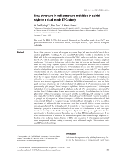 New structure in cell puncture activities by aphid stylets: a dual
