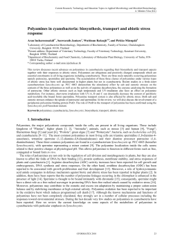 Polyamines in cyanobacteria: biosynthesis, transport and abiotic