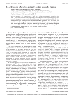 Bond-breaking bifurcation states in carbon nanotube fracture