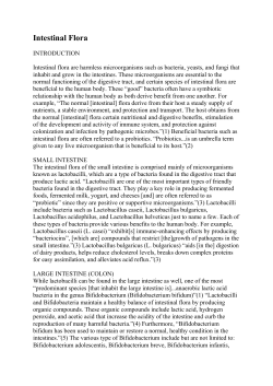 Lactobacillus Brevis - Epigenetics International