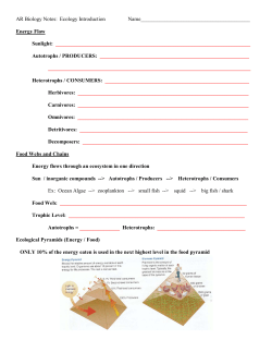 AR Biology Notes: Ecology Introduction