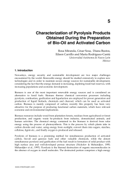 Characterization of Pyrolysis Products Obtained