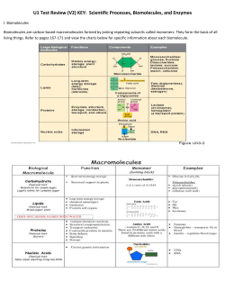 Test Review V2 KEY Biomolecules 2016