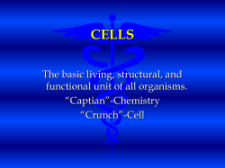 Cell