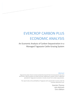Evercrop Carbon Plus