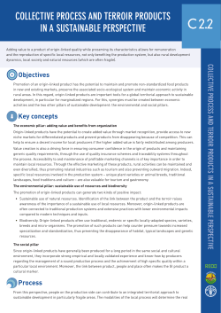 C 2.2 Collective Process And Terroir Products In A Sustainable