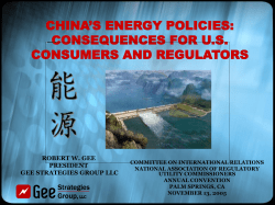 China`s Energy Policies