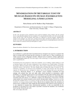 minimization of metabolic cost of muscles based
