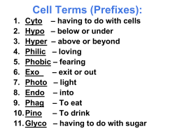 cell