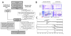 Presentaci&oacute;n de PowerPoint