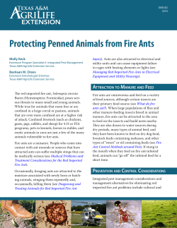 Protecting Penned Animals from Fire Ants