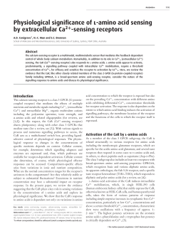 Physiological significance of l-amino acid sensing by extracellular