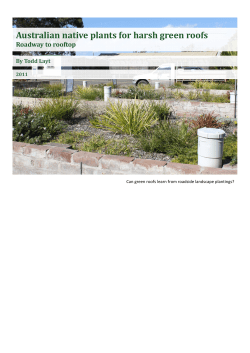 Australian native plants for harsh green roofs