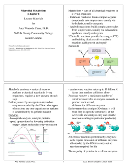 Microbial Metabolism (Chapter 5) Lecture Materials for Amy