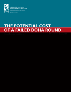 The Potential Cost of a Failed Doha Round