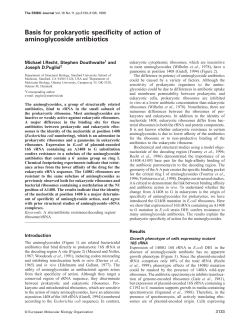 Basis for prokaryotic specificity of action of