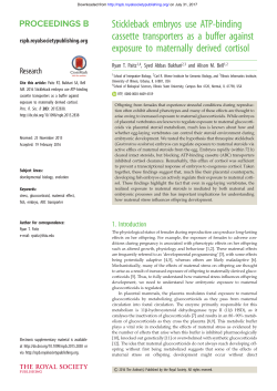Stickleback embryos use ATP-binding cassette transporters as a
