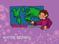 BIOMES OF THE WORLD