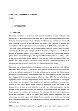 SEMS Year 3 project Literature Review Text 2 1. INTRODUCTION