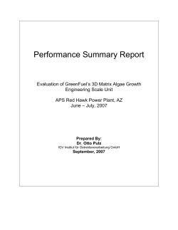 Performance Summary Report