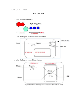 key - biology4friends