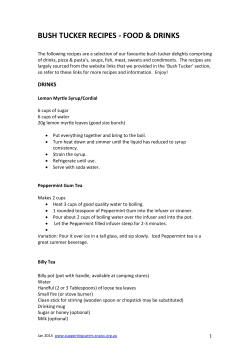 Bush Tucker Recipes - Supporting Carers (SNAICC)