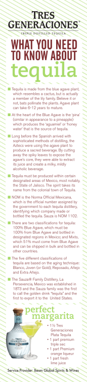 n Tequila is made from the blue agave plant, which resembles a