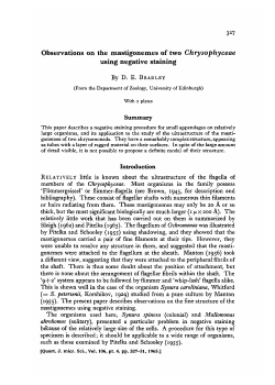 Observations on the mastigonemes of two Chrysophyceae using