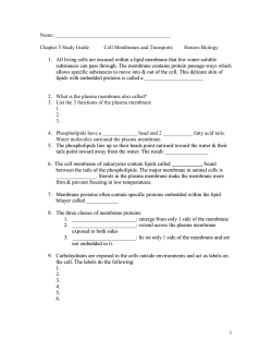 Study Guide Cell Membranes