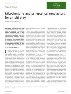 Mitochondria and senescence: new actors for an old play