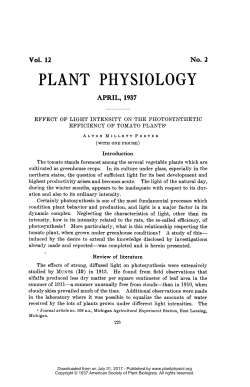 EFFECT OF LIGHT INTENSITY ON THE PHOTOSYNTHETIC