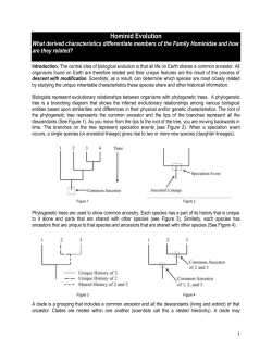 Hominid Evolution ADI