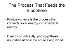 Overview: The Process That Feeds the Biosphere