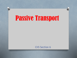Passive Transport